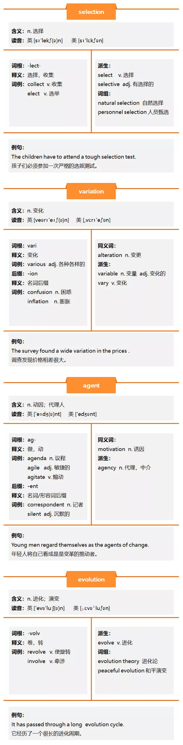 英语复习