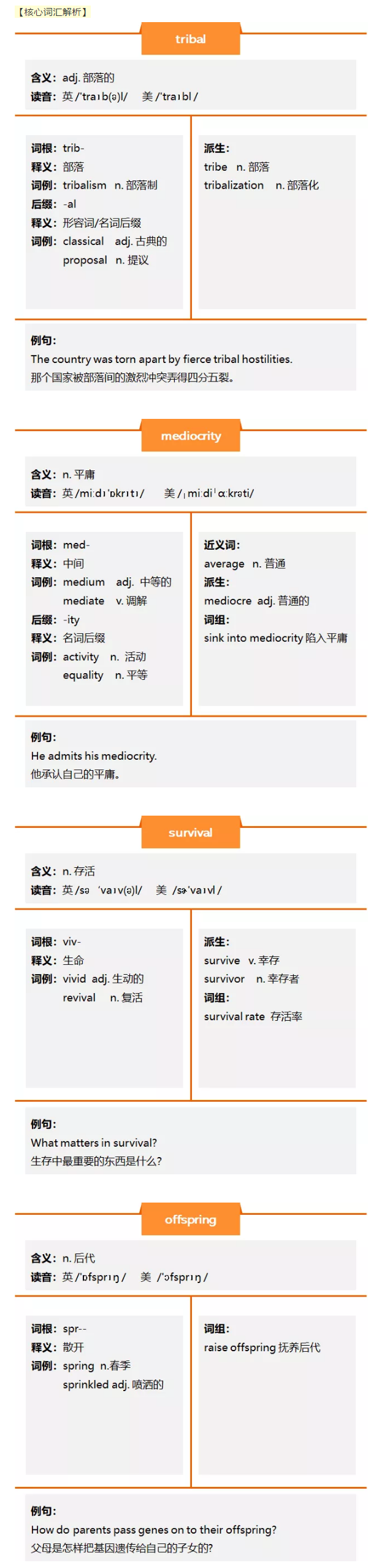 英语复习