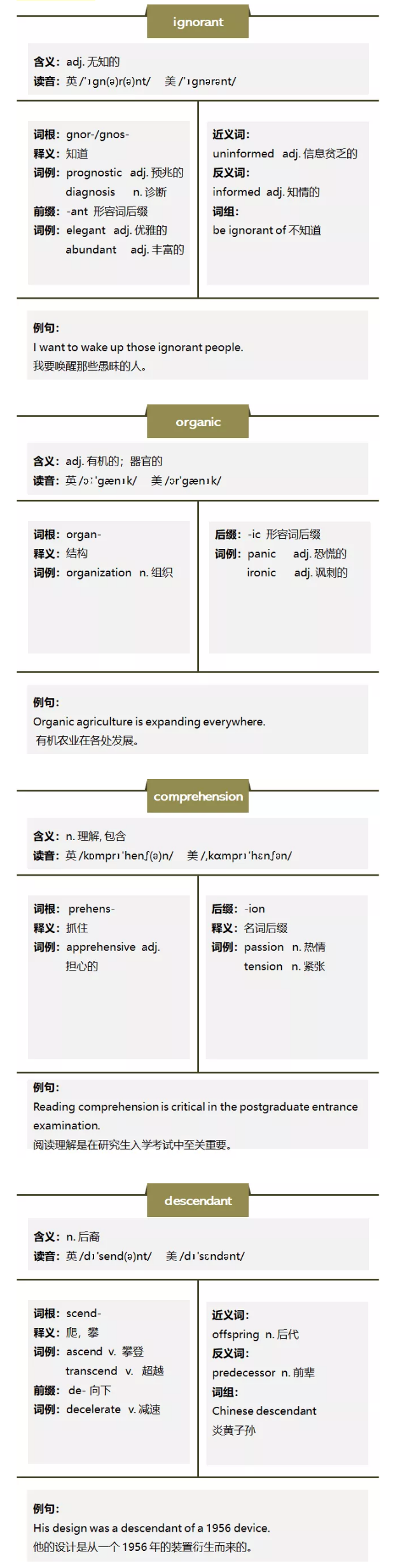 英语复习