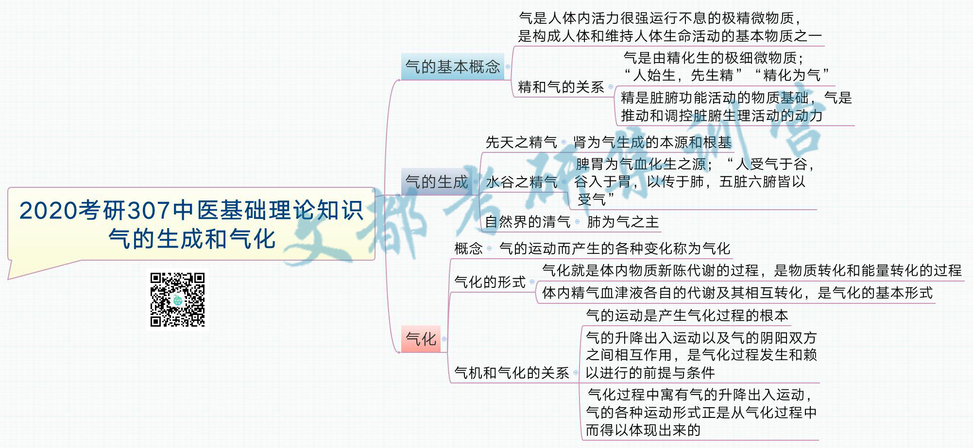 2020考研307中医基础理论知识:气的生成和气化