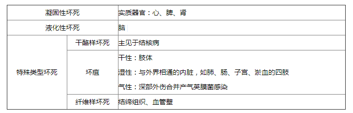 2019考研：西医综合病理学重点归纳(2)