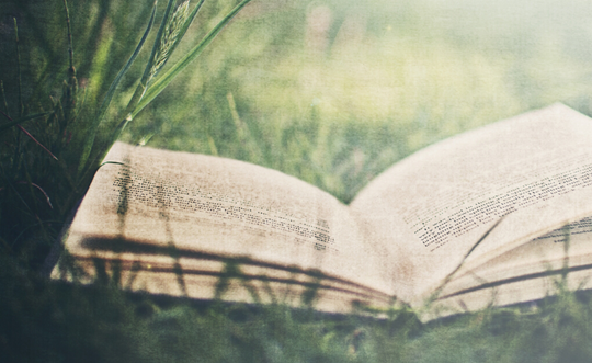 2016考研管理类联考知识点:充分条件假言及其推理