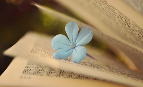 2016考研英语阅读:例证题,就这样把你征服 2016考研英语阅读:例证题,就这样把你征服