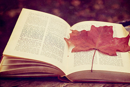 2016考研英语:破折号用法面面观