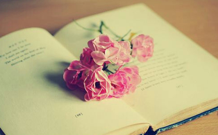 2016考研英语:必考核心词汇坚持练(第九十三天)