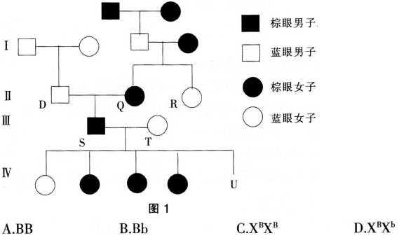 2016年下半年教师资格证考试试题及答案三——生物学科知识与教学能力(高级中学)