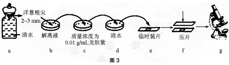 2016年下半年教师资格证考试试题及答案三——生物学科知识与教学能力(高级中学)