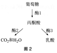 2016年下半年教师资格证考试试题及答案四——生物学科知识与教学能力(高级中学)