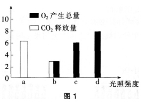 2016年下半年教师资格证考试试题及答案五——生物学科知识与教学能力(高级中学)