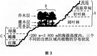 2016年下半年教师资格证考试试题及答案五——生物学科知识与教学能力(高级中学)