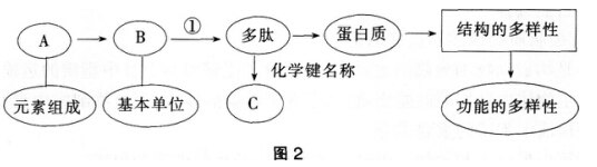 2016年下半年教师资格证考试试题及答案五——生物学科知识与教学能力(高级中学)