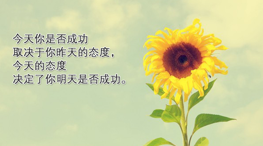 2017考研：后勤跟得上，考研考的棒