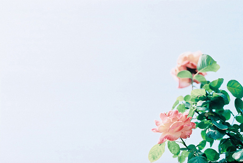 2017年5月英语四级口语备考练习329