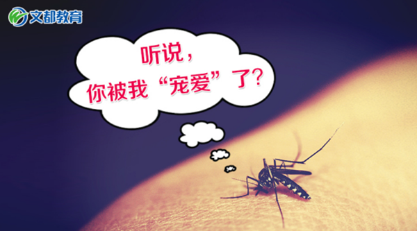 2018考研：这个夏天，你被蚊子“宠爱”了吗？