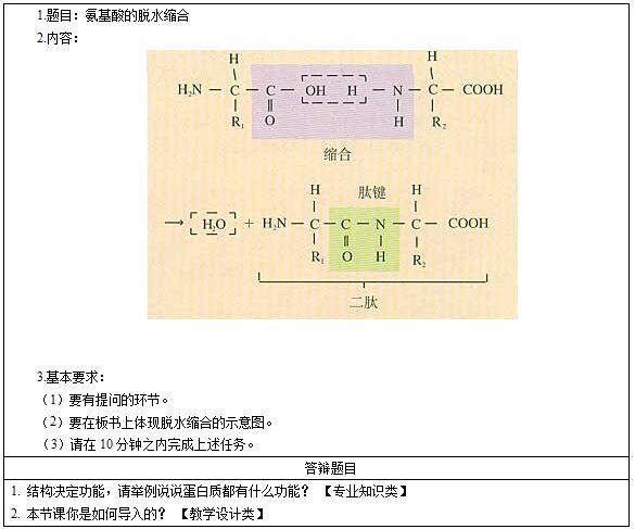 氨基酸的脱水缩合图片