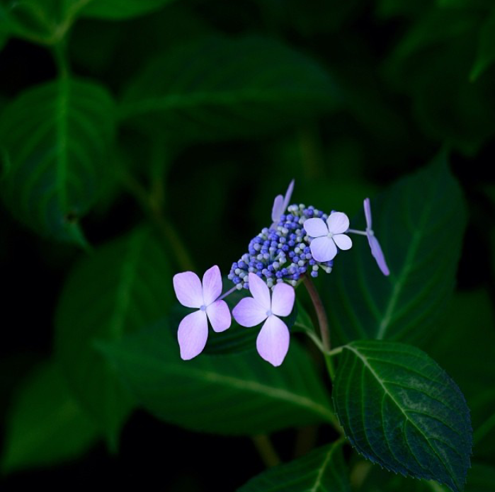 2017年11月英语四级口语备考练习465