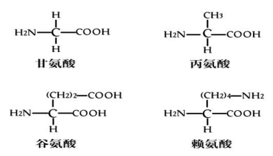 生物教师考试试题