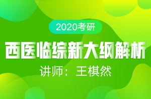 2020考研西医临综新大纲解析暨备考指南(王棋然)