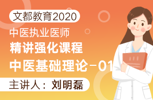 文都教育2020中医执业医师精讲强化课程中医基础理论01