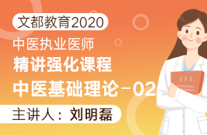 文都教育2020中医执业医师精讲强化课程中医基础理论02