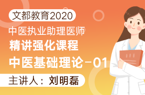 文都教育2020中医执业助理医师精讲强化课程中医基础理论01