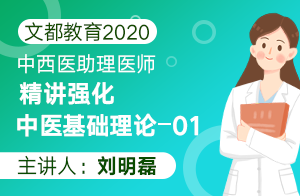文都教育2020中西医助理医师精讲强化中医基础理论01